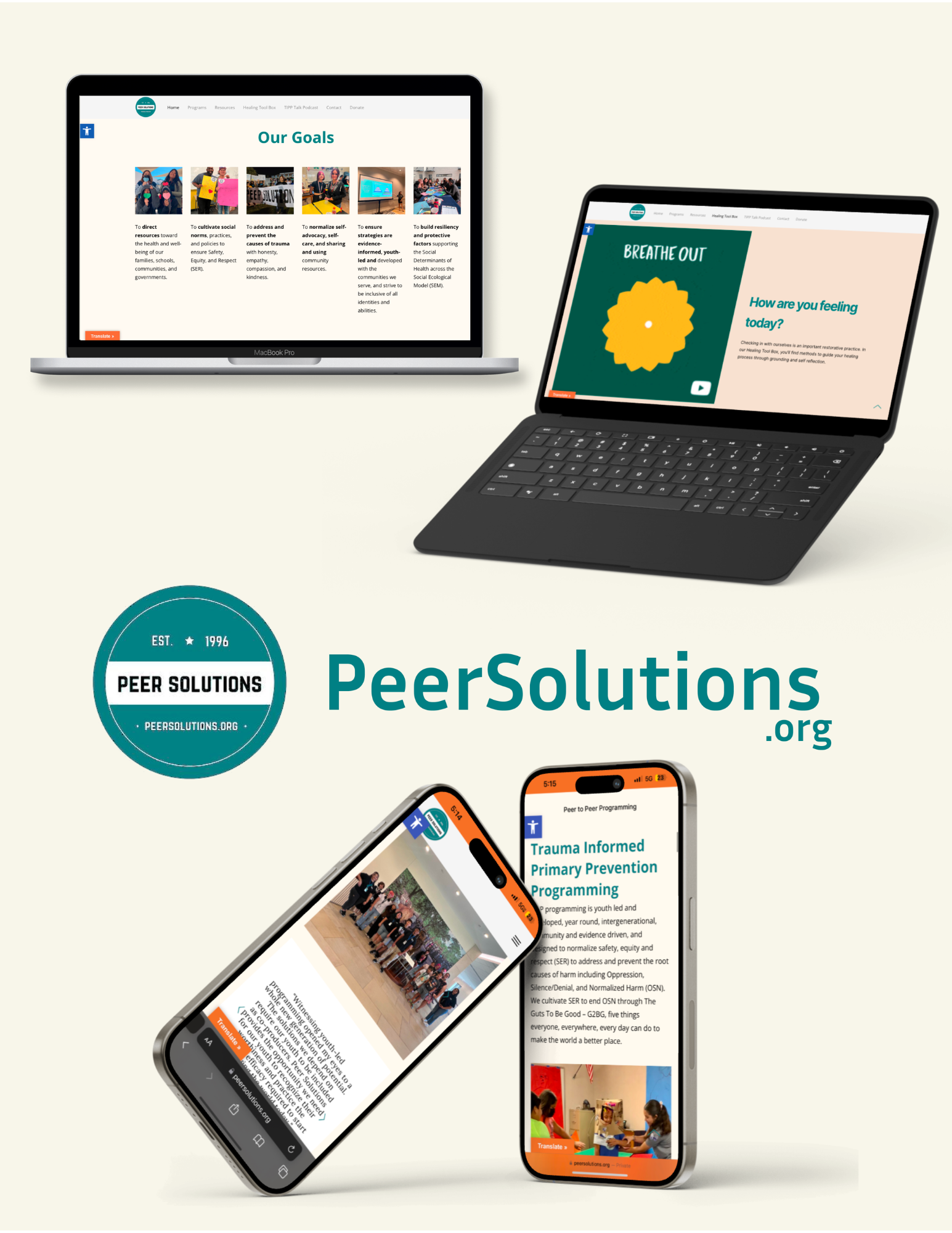 Peer Solutions Website